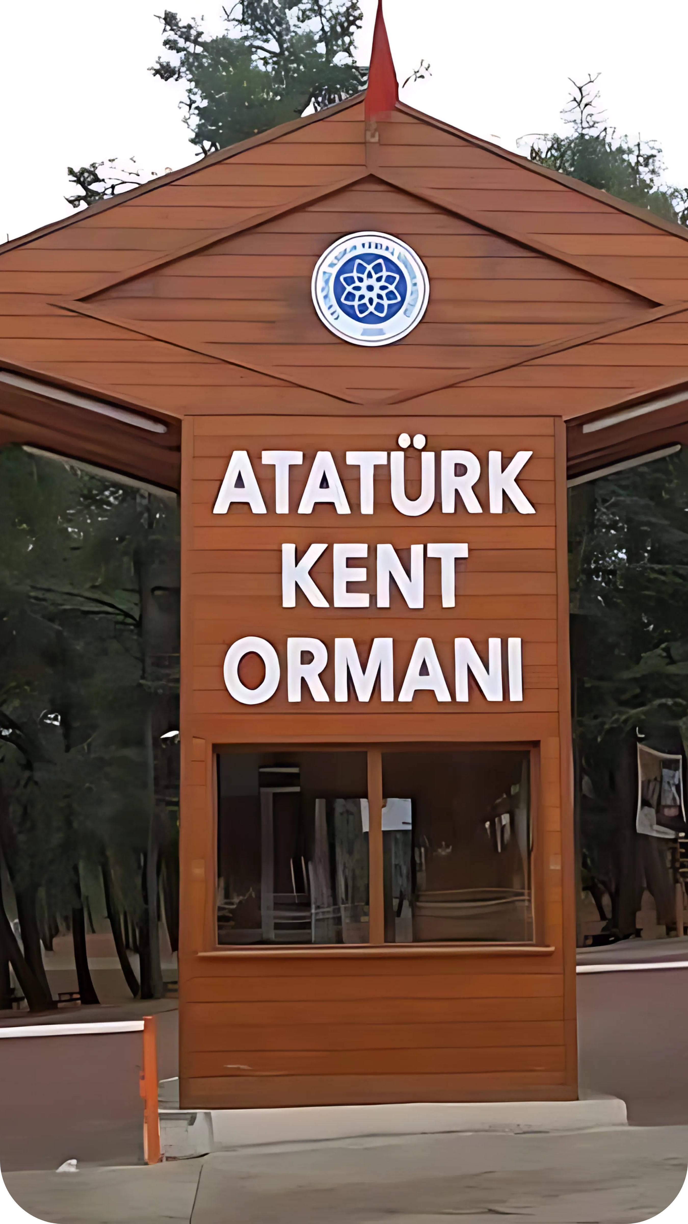 Destination 6
