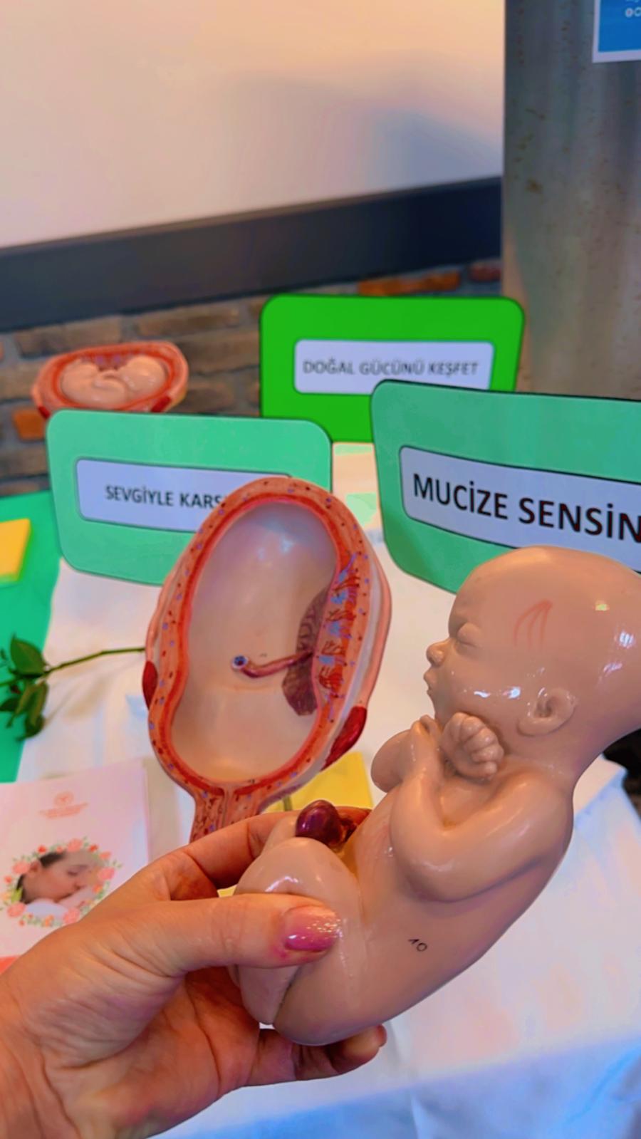 DOĞAL DOĞUM HAFTASI