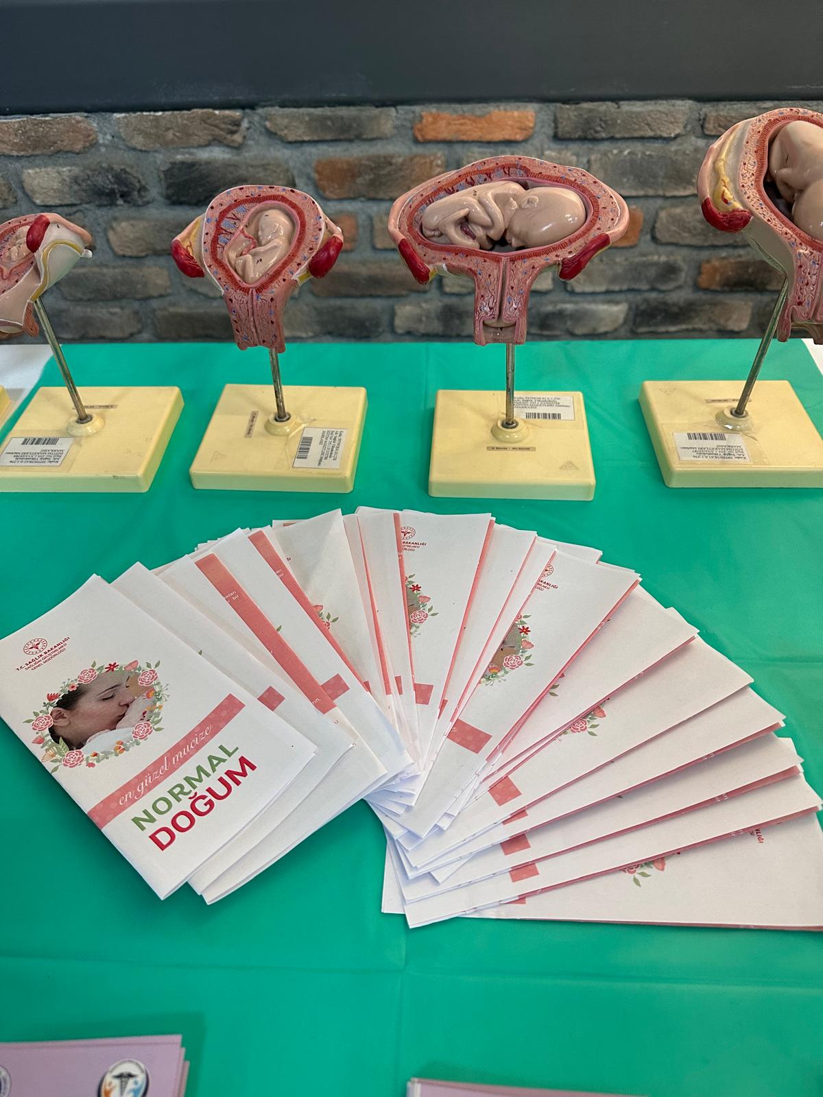 DOĞAL DOĞUM HAFTASI