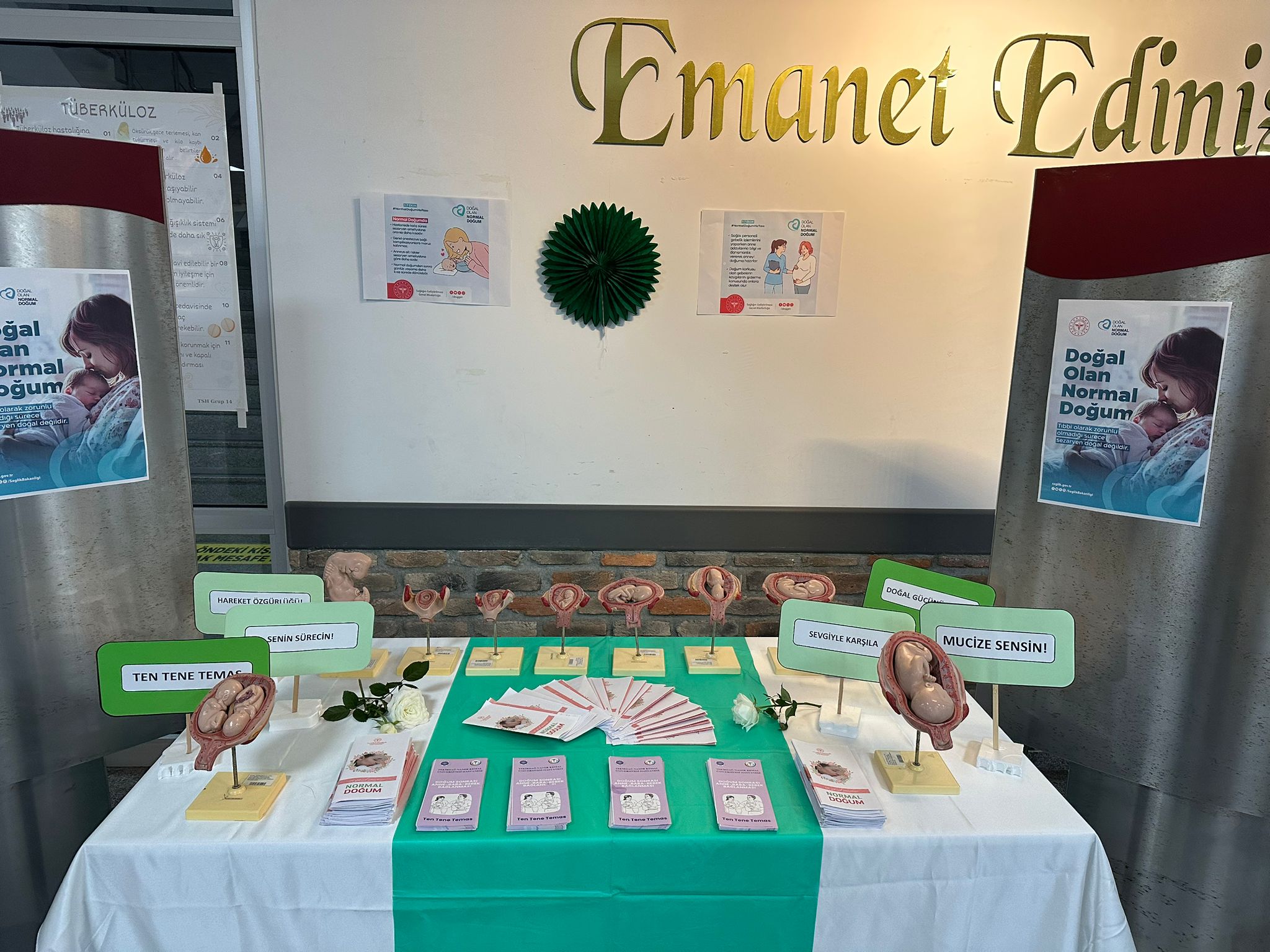 DOĞAL DOĞUM HAFTASI