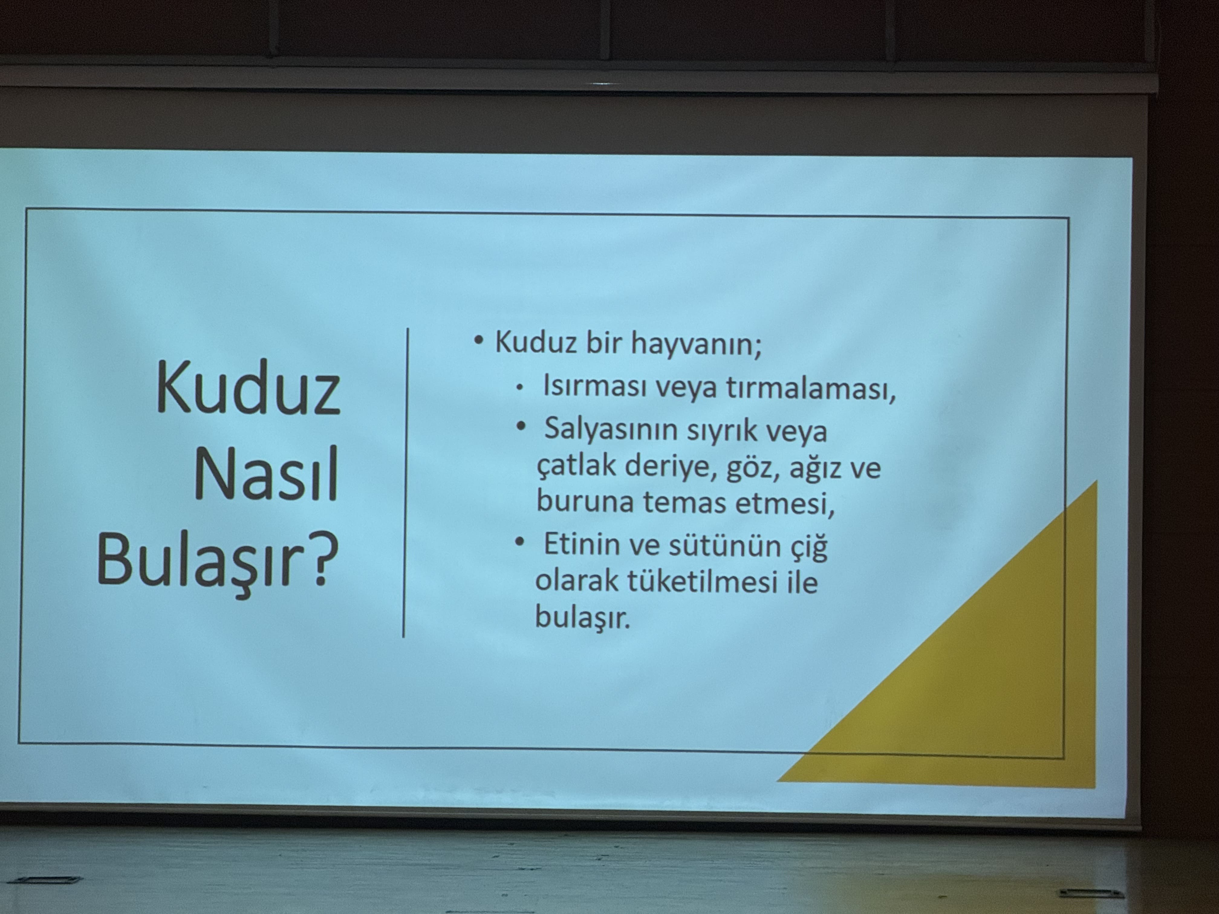 Dünya Kuduz Günü